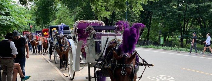 Central Park Carriage Horse Ride is one of USA.