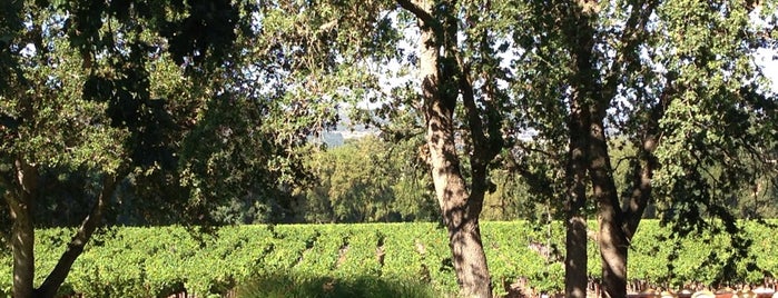 Boyd Family Vineyards is one of Napa.