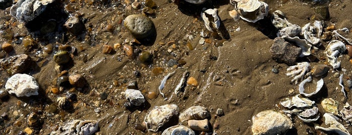 Southend-on-Sea Beach is one of London.