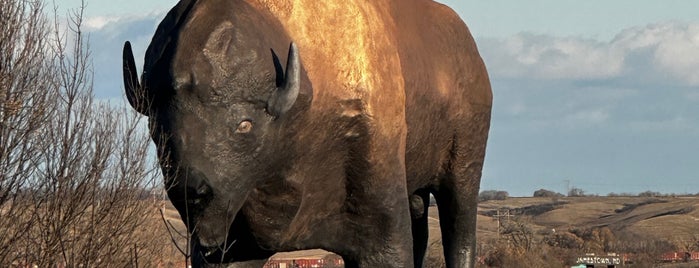 World's Largest Buffalo is one of Quirky Landmarks USA.