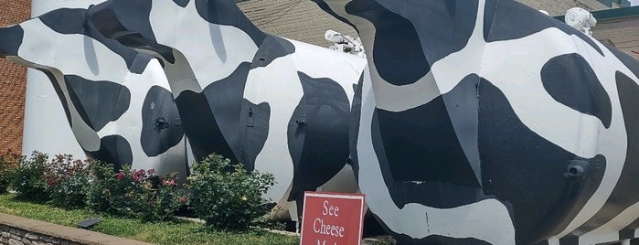 Ashe County Cheese is one of Blue Ridge Road-trip.