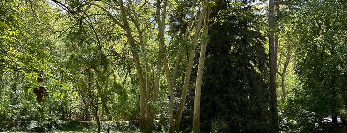 Parque Natural del Monasterio de Piedra is one of Recomendado.