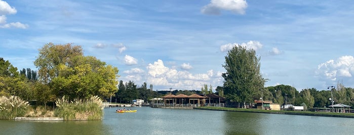 Club Las Encinas de Boadilla is one of Para jugar a waterpolo.