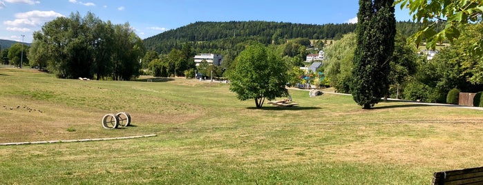 Donaupark Umläufle is one of Kleiner Stadtrundgang Tuttlingen.