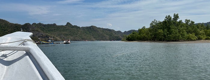 Tg Rhu Mangrove Tour is one of Langkawi.