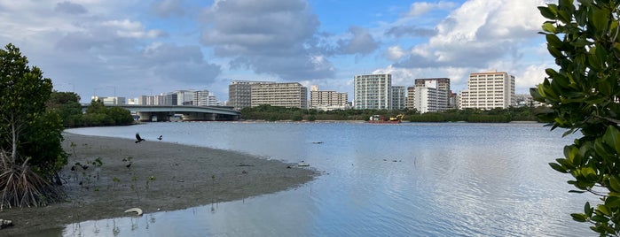 Manko Wetland is one of 沖縄に旅行したらココに行く！.