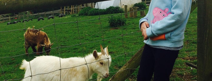 Bath City Farm is one of Bath, England 2018.