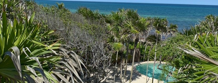Papaya Playa Beach Club is one of Posti che sono piaciuti a Daniela.