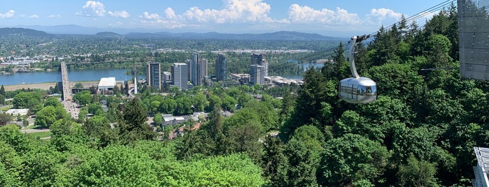 OHSU - Skyline Viewpoint is one of South Waterfront PDX.