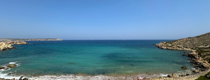 Imġiebaħ Bay is one of Bichon Maltais.
