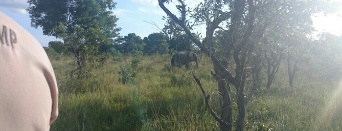 Kafue National Park is one of Africa.