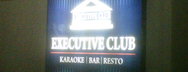 Executive Club VIP Karaoke is one of Hedonism.