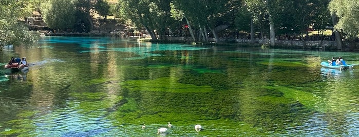 Gökpınar Gölü Doğal Yaşam Parkı is one of สถานที่ที่ Alp ถูกใจ.