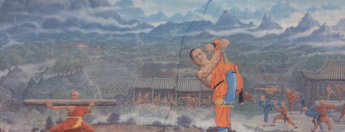 Shaolin Temple is one of Vegetarian.