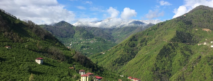 Değirmencik is one of Trabzon.