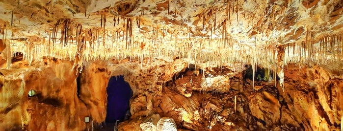 Javoříčské jeskyně is one of Doly, lomy, jeskyně (CZ).