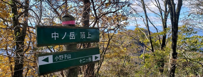 中ノ岳 頂上 is one of 日本の🗻ちゃん(⌒▽⌒).