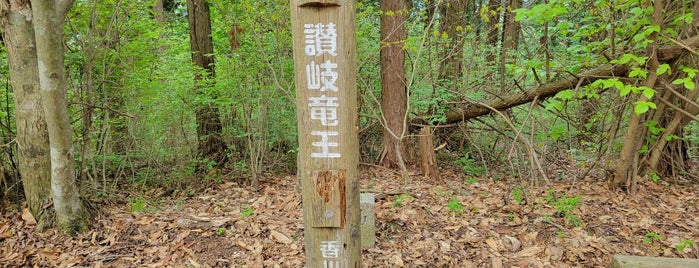 竜王山 is one of 四国の山.