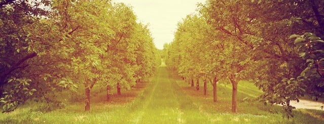 Seaquist Orchards is one of Best of Door County.
