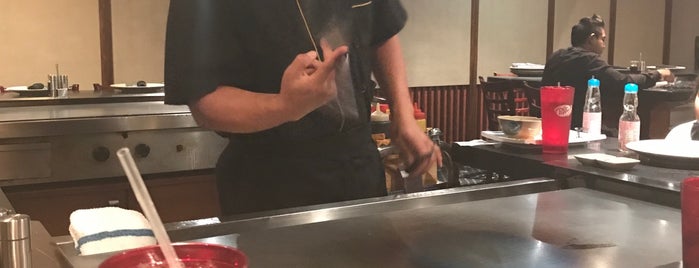 Fuji Japanese Steakhouse is one of Places I Go.
