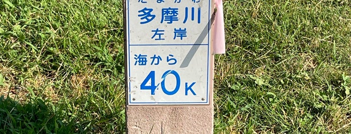 多摩川左岸 海から40Km is one of 多摩川.