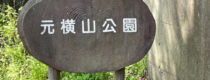 元横山公園 is one of 散歩にはとっておきの公園.