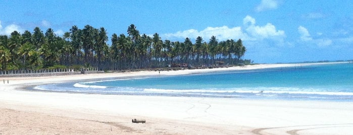 São Miguel dos Milagres is one of Cidades de Alagoas.