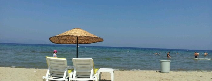 Davutlar Plajı Vedat ın yeri is one of SAHİLLER & PLAJLAR -Turkey / Coast and beaches.