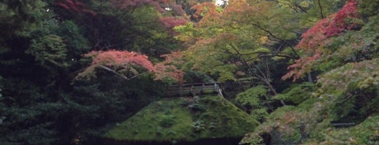 法然院 is one of Kyoto.
