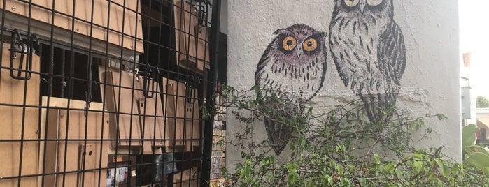 Owl Shop is one of Tempat yang Disukai Woo.