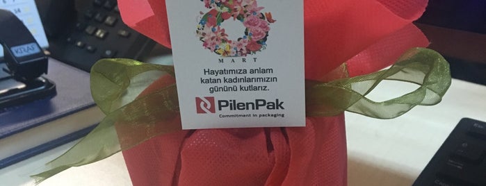 Pilenpak Ambalaj Sanayi is one of Serhan'ın Beğendiği Mekanlar.