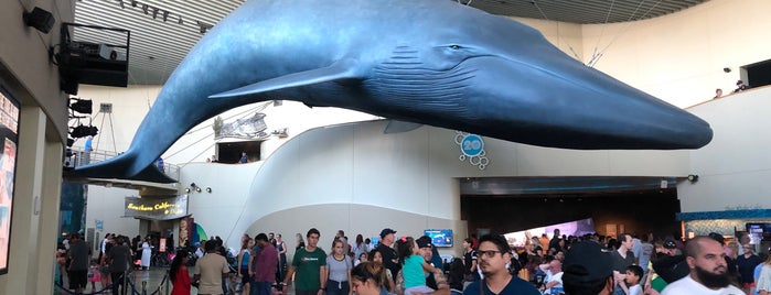 Under The Blue Whale is one of There is where I #JazzLA.