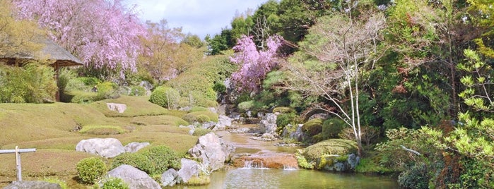 Myoshinji is one of kyoto.