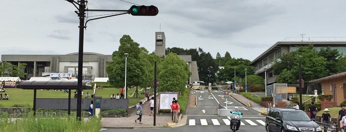 Nagoya University Higashiyama Campus is one of 国立大学 (National university).