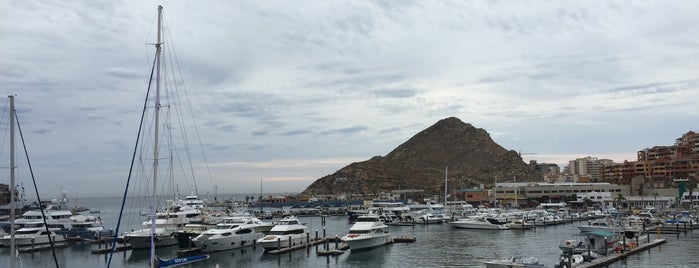 Wyndham is one of Cabos San Lucas.