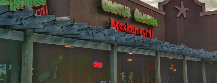 Cactus Cantina is one of restaurants.