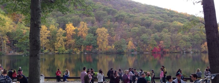 Bear Mountain State Park is one of Fall 2015.