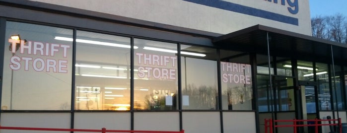 Thrift Stores