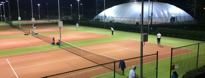 Sutton Lawn Tennis Club is one of Leinster Squash Clubs.
