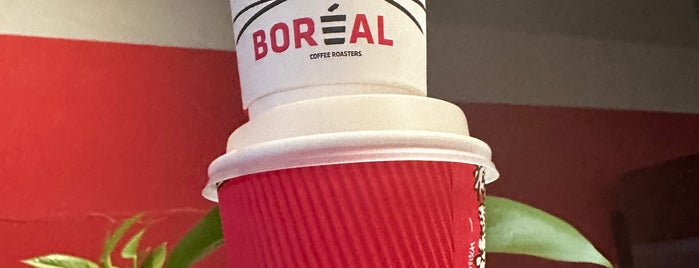 Boréal Coffee Shop is one of Zürich.