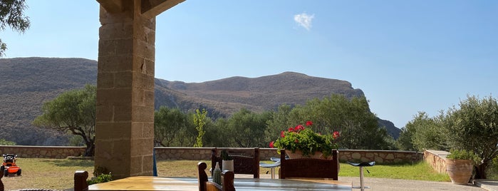 Biolea (Astrikas Estate) is one of Crete - new.