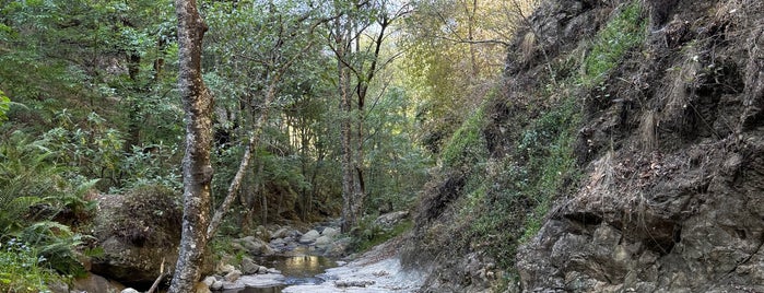Río del milagro is one of Hidalgo.