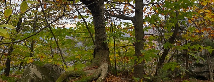 Slide Mountain Wilderness is one of Mohonk Mountain 2017.