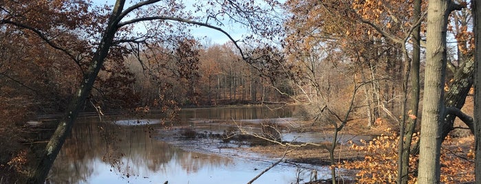Mill Creek Park is one of youngstown.