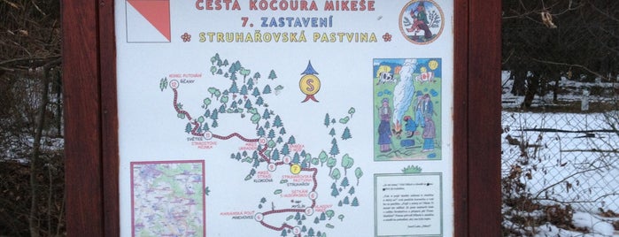 Cesta kocoura Mikeše – 7. zastavení • Struhařovská pastvina is one of สถานที่ที่ Anna ถูกใจ.