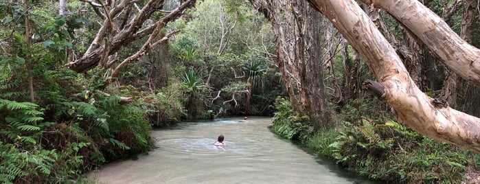 Eli Creek is one of Australia with JetSetCD.