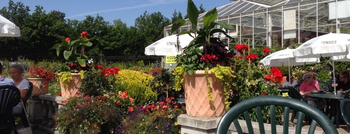 Forest Lodge Garden Centre is one of Whitehill.