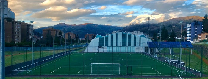 Polideportivo del Campus de Mieres is one of Guide to Mieres's best spots.