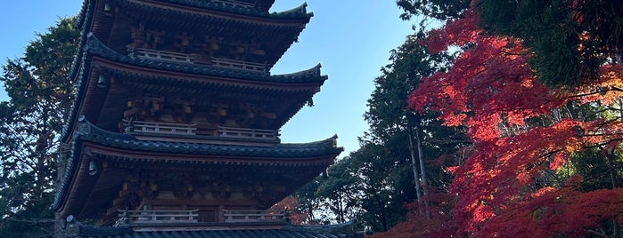 海住山寺 五重塔 is one of 京都府の国宝建造物.