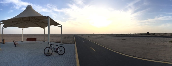 Al Qudra Desert Cycling Track is one of Tempat yang Disukai Omar.